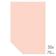 Alex Schoeller 50x70 Sedefli Fon Kartonu Pembe Alx.635