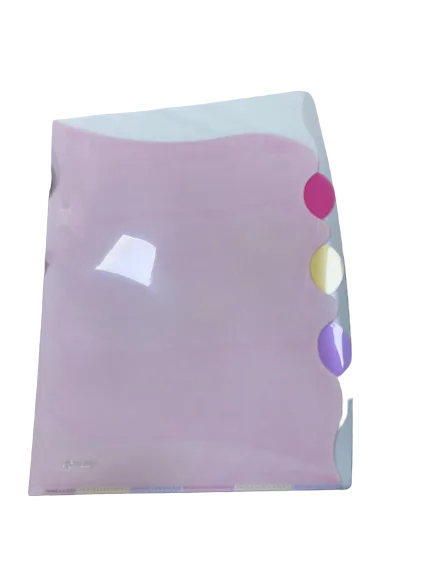 Comix Erl A4 4 Bölmeli L Tipi Dosya Cy1612-erl0038