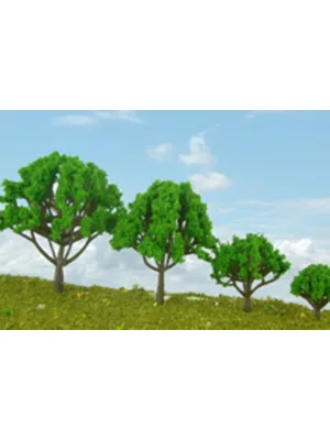 Jordanıa 1\100 6 Cm Ağaç 2"li W6070n