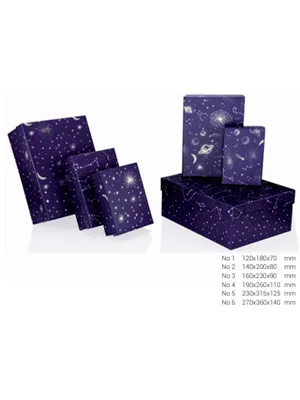 Gıpta Cosmic Dikdörtgen Hediye Kutusu No:6 Bx6993