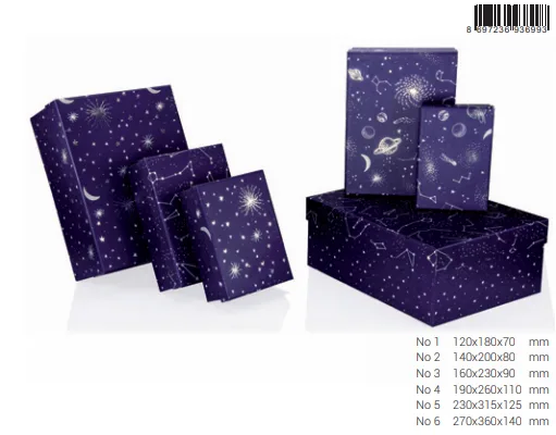 Gıpta Cosmic Dikdörtgen Hediye Kutusu No:2 Bx6993