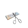 Fiona 18 Cm Metal Krom Makas(açılış ve Protokol Makası) 2035