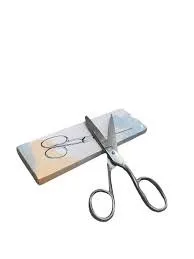 Fiona 18 Cm Metal Krom Makas(açılış ve Protokol Makası) 2035