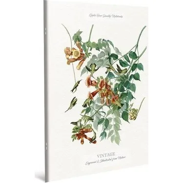Gıpta Vıntage 19x26 Cm Dikişli Karton Kapak Defter Kareli 60 Yp 3-4449000-2011