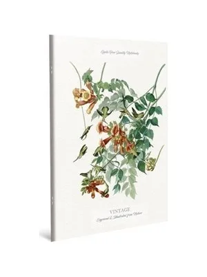 Gıpta Vıntage 19x26 Cm Dikişli Karton Kapak Defter Kareli 60 Yp 3-4449000-2011