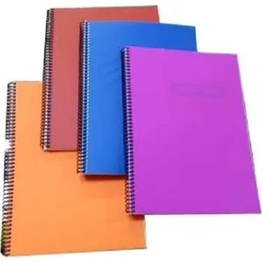 Gıpta Eko A4 Pp Kapak Spiralli Defter Çizgili 80 Yp 3-2029000