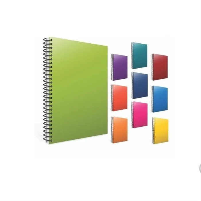 Gıpta Eko A4 Pp Kapak Spiralli Defter Çizgili 100 Yp 2032