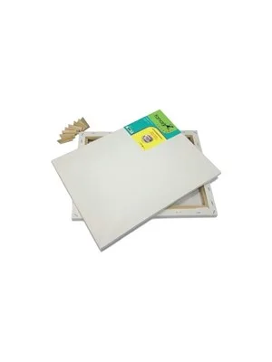 Fanart 40x50 Cm Basic Seri Çerçeveli Tuval 160 Gr Lv-f-8105.4050
