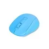 Everest Sm-300 Usb 4d Optik Kablosuz Mouse Mavi