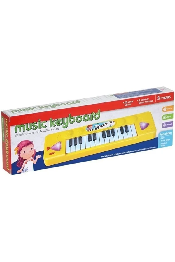 Can Toys Pilli Piyano Kutulu Fl9302