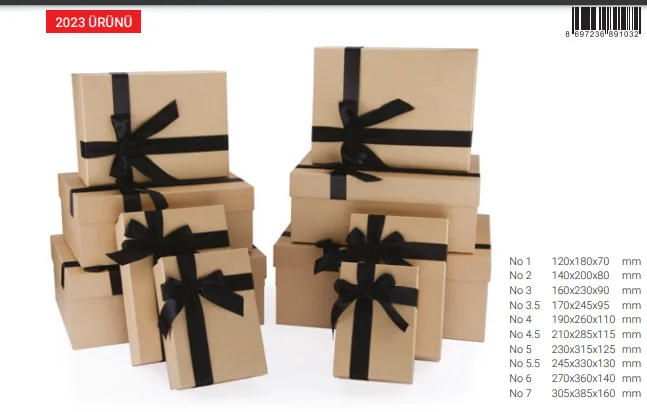Gıpta My Kraft Dikdörtgen Hediye Kutusu No:3 Bx1032