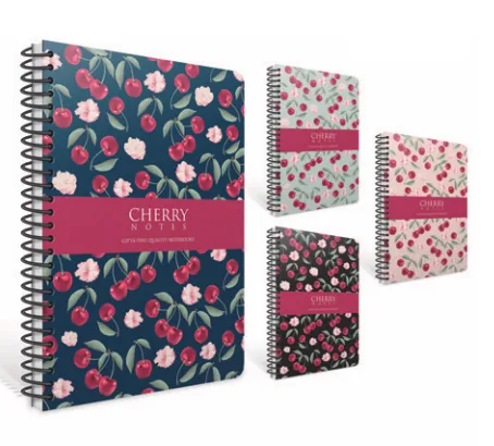 Gıpta Cherry 17x24 Sert Kapak Spiralli Defter Çizgili 120 Yp 6371
