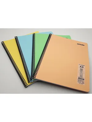 Umur Mynote Flex Konulu A4 Pp Kapak Spiralli Defter 3+1 Bölmeli 120 Yp Mfxko-3+1-120