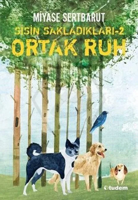 Sisin Sakladıkları 2 - Ortak Ruh - Tudem Yayınları