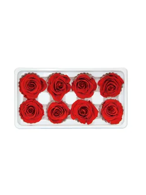 Nedi Solmayan Gül 8"li Kırmızı 56830r