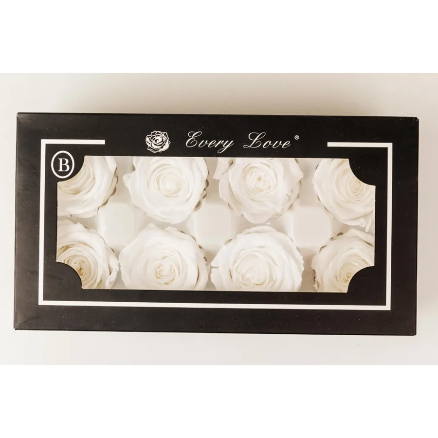 Nedi Solmayan Gül 8"li Beyaz 56830w