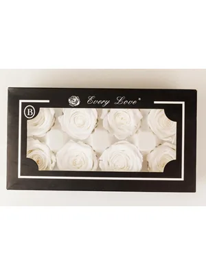 Nedi Solmayan Gül 8"li Beyaz 56830w
