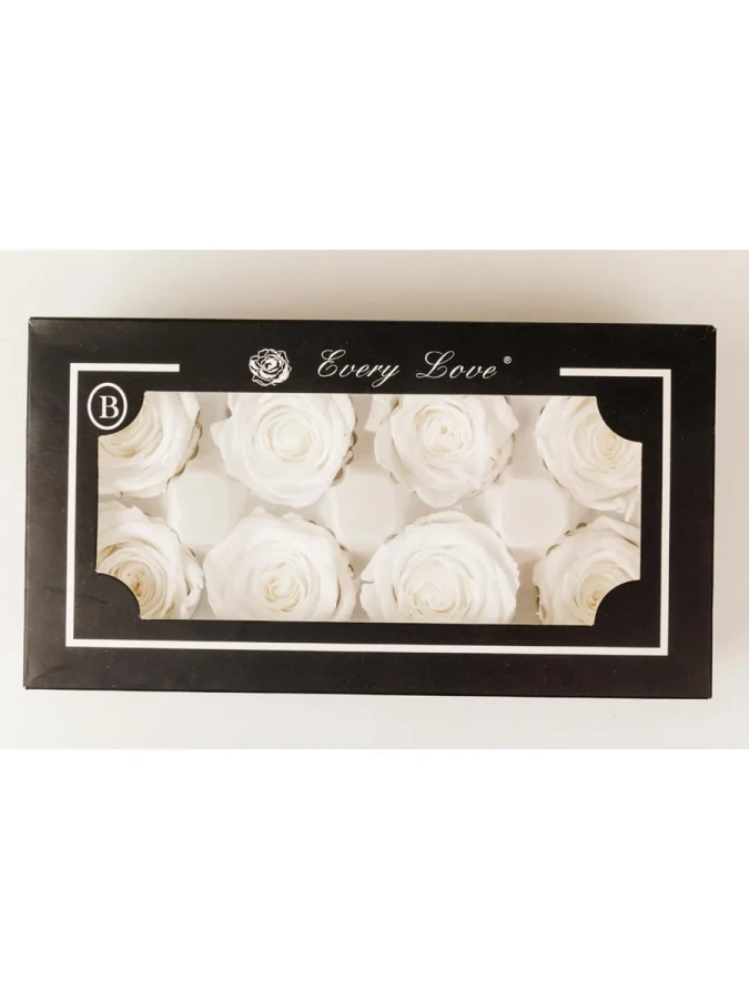 Nedi Solmayan Gül 8"li Beyaz 56830w