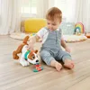 Fisher Price Emeklemeyi ve Saymayı Öğreten Köpekçik Hhh13