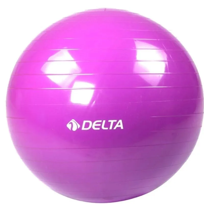Delta 65 Cm Pilates Topu Mor Pum942