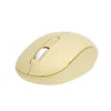 Everest Smw-666 2.4 Ghz Sarı Usb Optik Kablosuz Mouse