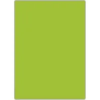 Herboy 50x70 160 Gr Fon Kartonu No:13 Fıstık Yeşili Hrb-3108