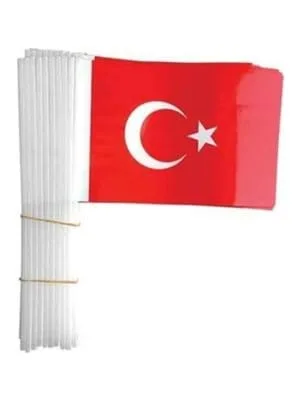 Vatan Sopalı Kağıt Atalı Bayrak Büyük Boy Vt804 (saplı Bayrak)