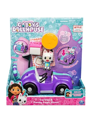 Gabby's Dollhouse Carlita ve Pandy Paws Piknik Spm-6062145