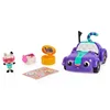 Gabby's Dollhouse Carlita ve Pandy Paws Piknik Spm-6062145