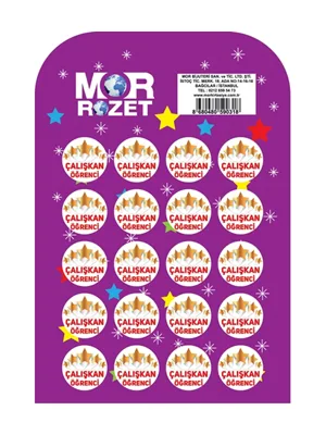 Mor Çanta Rozeti Çalışkan Öğrenci