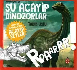 Şu Acayip Kediler - Uğurböceği Yayınları