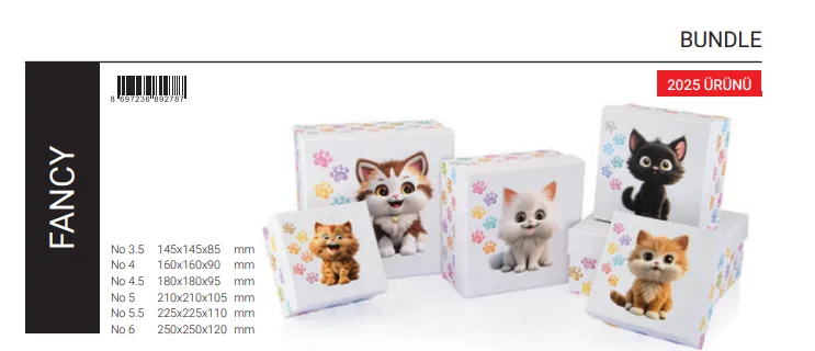 Gıpta Fancy Kare Hediye Kutusu No:6 Bx2787