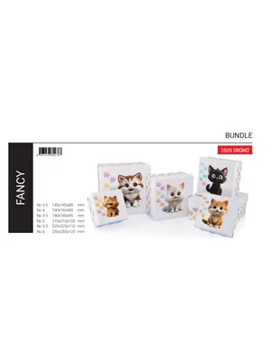 Gıpta Fancy Kare Hediye Kutusu No:3.5 Bx2787
