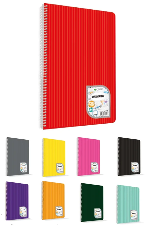 Çınar Colormaxi A5 Spiralli Pp Kapak Defter Kareli 96 Yp 73505