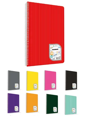 Çınar Colormaxi A5 Spiralli Pp Kapak Defter Kareli 96 Yp 73505