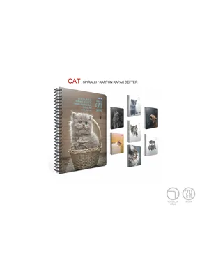 Gıpta Cats 17x24 Sert Kapak Spiralli Defter Kareli 80 Yp 7622