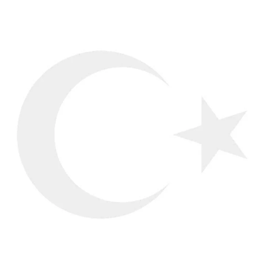 Svn Ay Yıldız Bayrak Folyo Sticker No:1