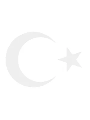 Svn Ay Yıldız Bayrak Folyo Sticker No:1