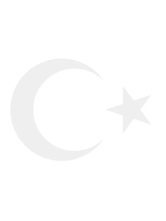 Svn Ay Yıldız Bayrak Folyo Sticker No:1