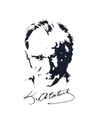 Svn Ata Silüet Folyo Sticker No:2