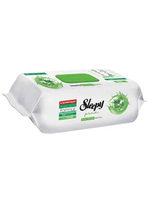Sleepy Yüzey Temizlik Havlusu Dağ Esintisi 100"lü