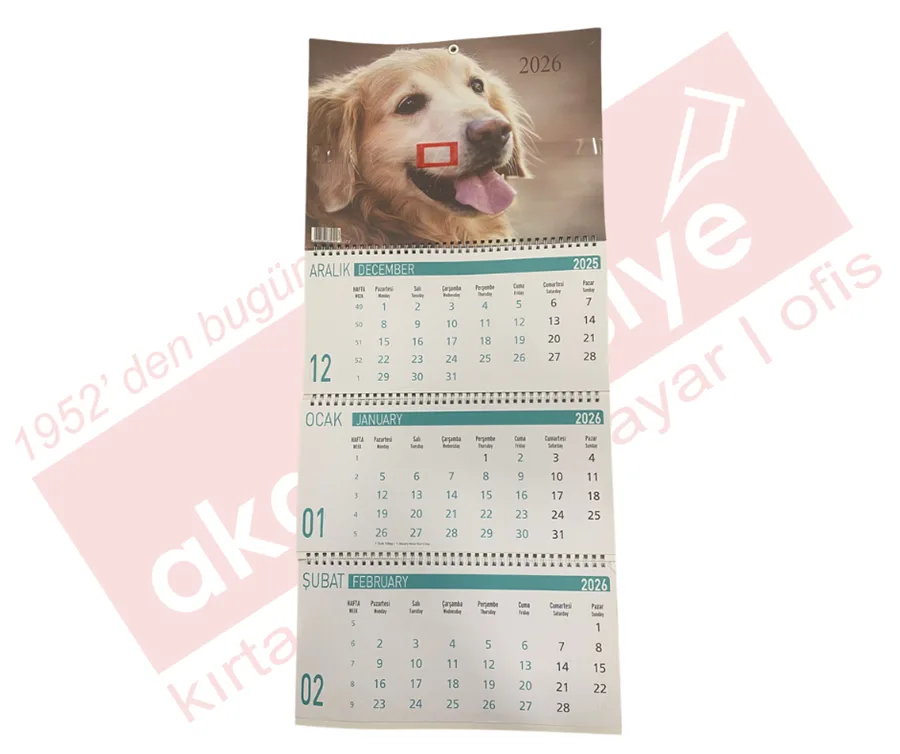 Lizy 33x24 Cm Gemici Takvimi Hayvan Serisi Tkv-gmc3 (2026)