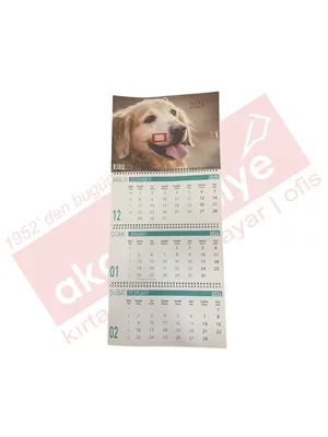 Lizy 33x24 Cm Gemici Takvimi Hayvan Serisi Tkv-gmc3 (2026)