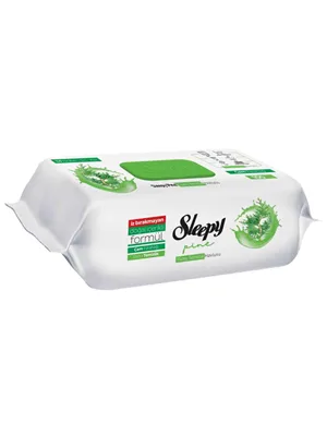 Sleepy Yüzey Temizlik Havlusu Çam Ferahlığı 100"lü