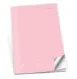 Cartıa 9x14 Ivory Pastel Karton Kapak Dikişli Defter Çizgili 40 Yp Gld062