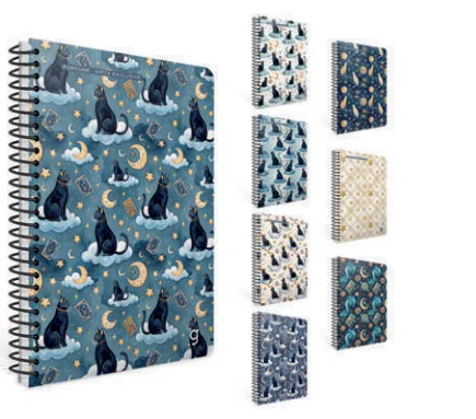Gıpta Fortune 17x24 Karton Kapak Spiralli Defter Çizgili 80 Yp 8436