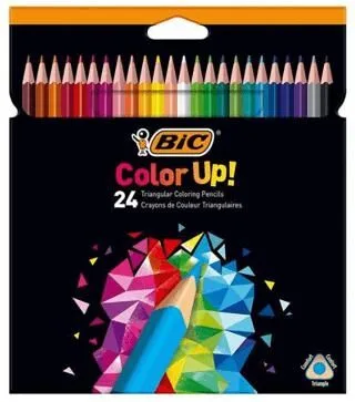 Bic İntensity Kuru Boya Kalemi 24 Lü 9641482