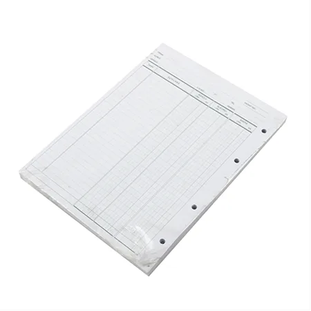 Bayındır 17x24 Cari Hesap Klasörü Yedeği