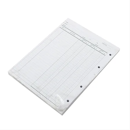 Bayındır 17x24 Cari Hesap Klasörü Yedeği