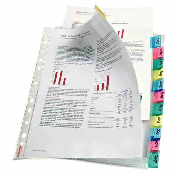 Esselte Ayraçlı Poşet Dosya 12 Renk Slt-414170